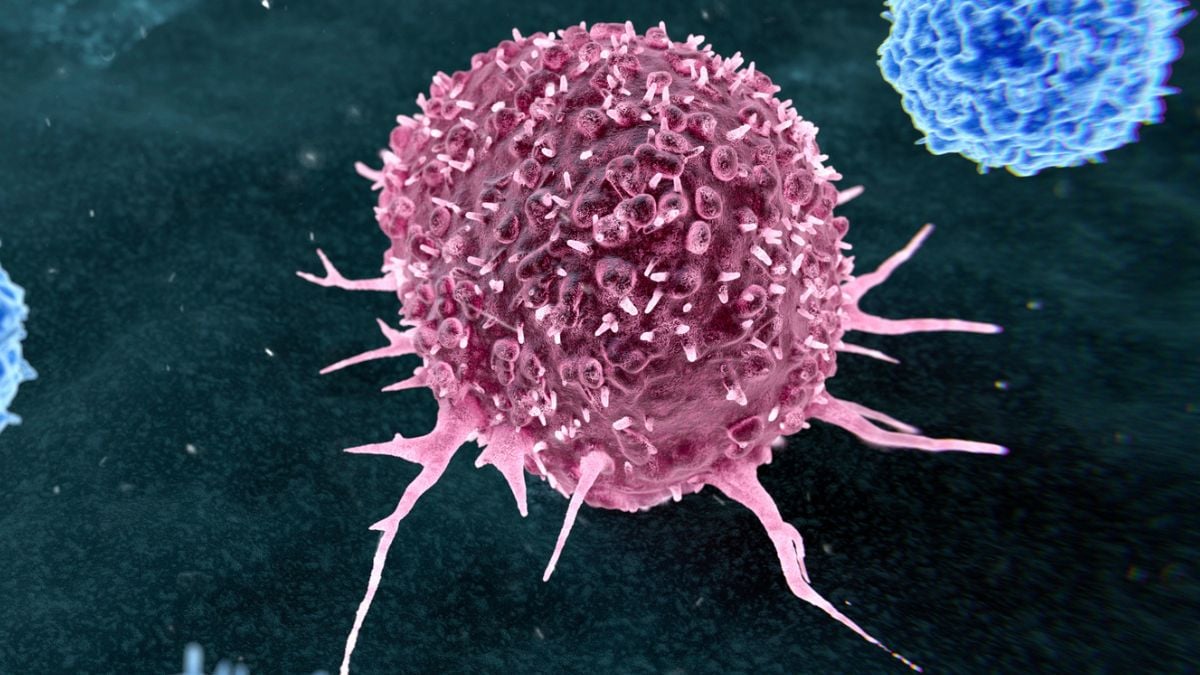 近50% 的可预防癌症仅与两种生活方式有关：ScienceAlert