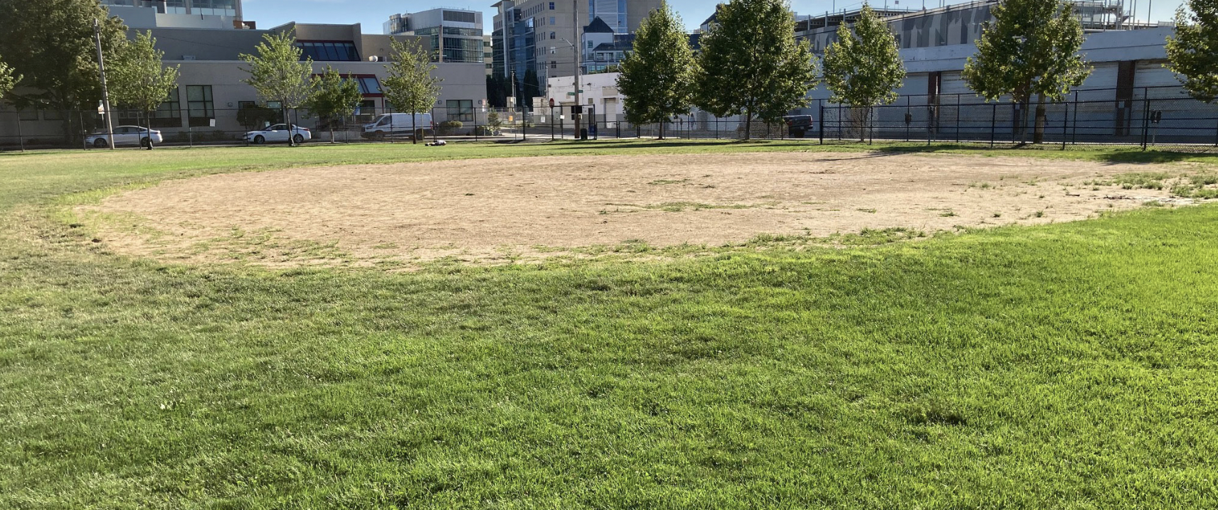 青年体育领袖：埃亨球场需要人造草坪